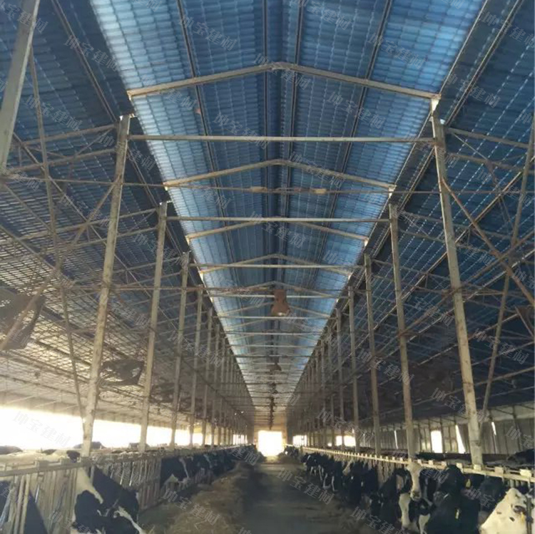 伊犁奶牛養(yǎng)殖場屋面防火防腐蝕使用秸稈瓦案例(圖5) 伊犁奶牛養(yǎng)殖場秸稈瓦案例