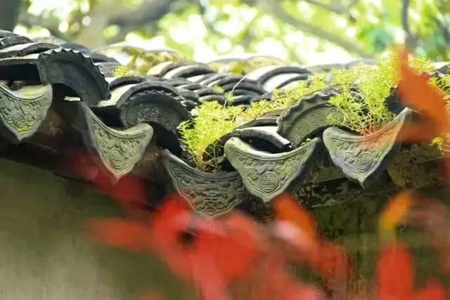 “新品”「塑料一體仿古屋檐瓦」屋檐上的藝術成都坤寶