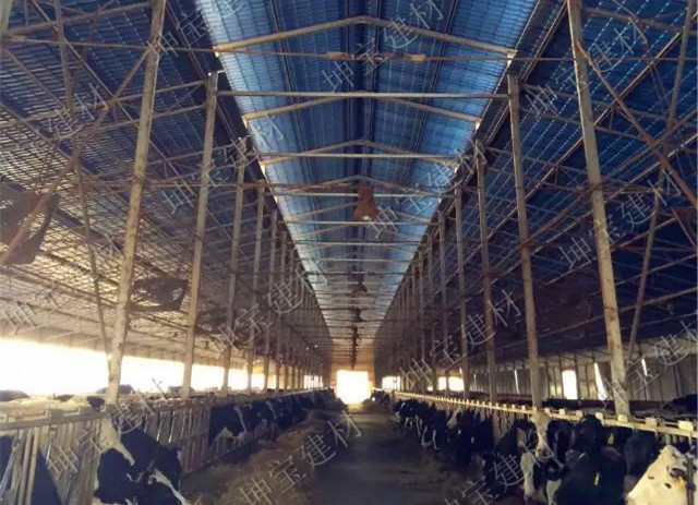 養殖場用秸稈瓦,防腐耐候更耐用!