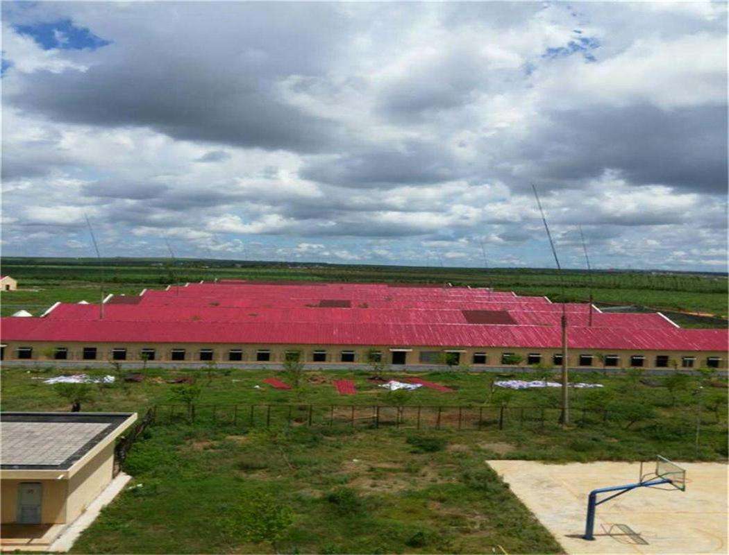 養殖場屋面瓦 養殖場屋面瓦