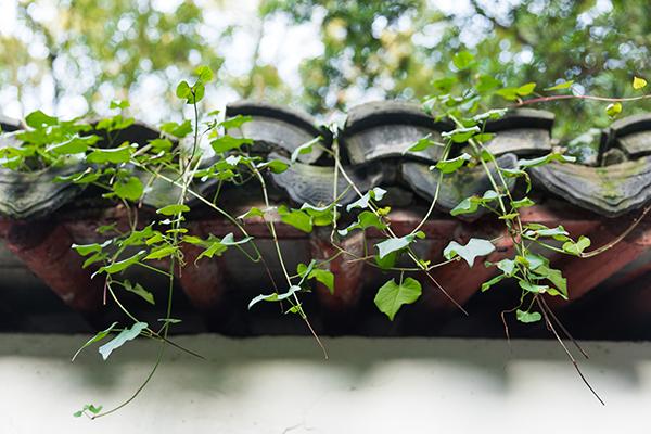 古建筑鋪瓦前有哪些準(zhǔn)備和什么鋪瓦流程 古建筑鋪瓦前有哪些準(zhǔn)備和什么鋪瓦流程