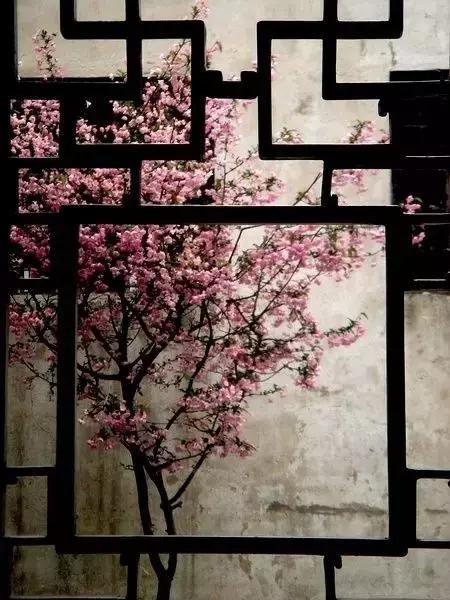 這樣的院子,只有中國人駕馭得了它!