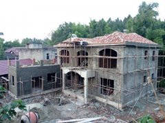 30元一平的樹脂瓦省錢又耐用?網友:吃飽沒事干,用一年就得換