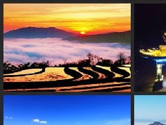 紅河樹脂瓦廠家直銷